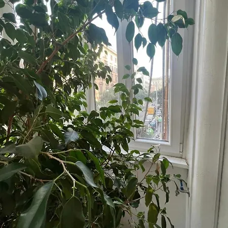 Cicerone Apartment Rome