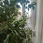 Cicerone Lejlighed Rom
