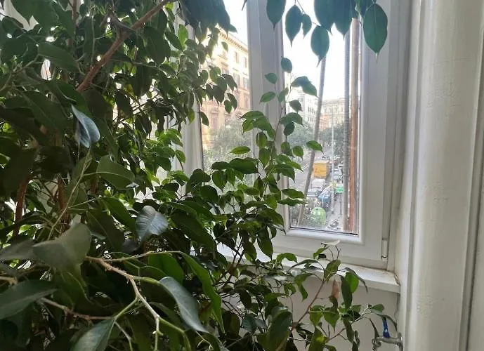 Cicerone Apartmán Řím